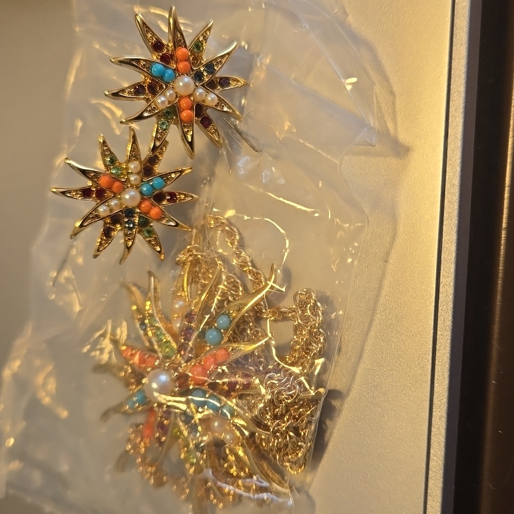 Necklace and earrings New Never Worn